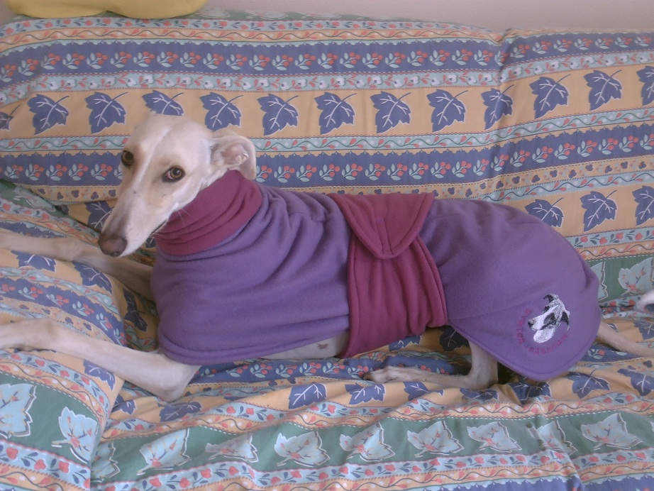 manteau whippet