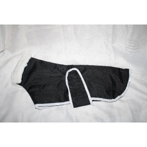 Manteau imperméable chiot whippet
