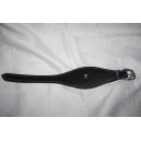 Collier whippet