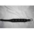 Collier whippet