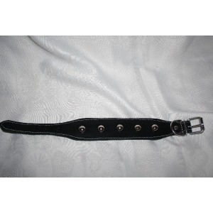 Collier whippet