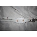 Combiné laisse et collier en cuir  pour  whippet