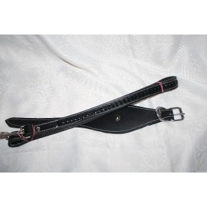 Combiné laisse et collier en cuir  pour  whippet