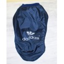 Manteau whippet dogidass