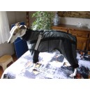 combinaison whippet gez