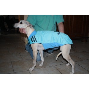 Manteau shop imperméable whippet