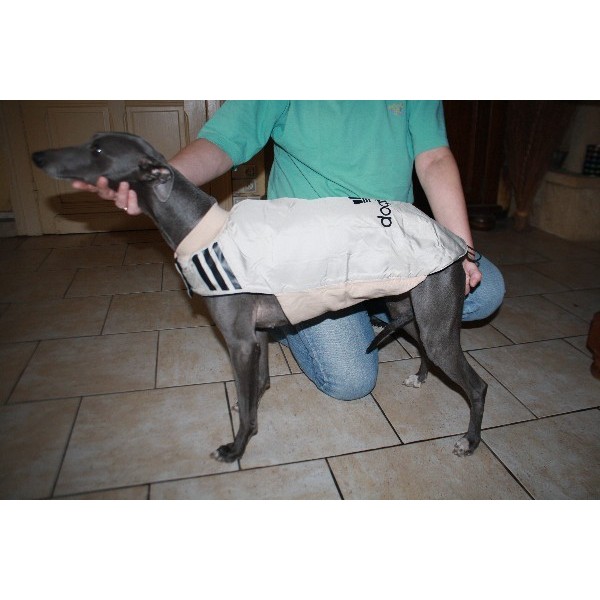 Manteau shop imperméable whippet