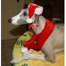 Ensemble écharpe et bonnet pour chien petit et moyen