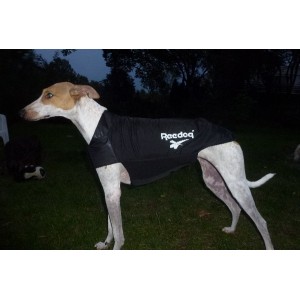 Manteau galgo outlet
