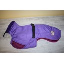 Manteau  Whippet