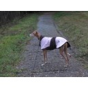 Manteau sweater en polaire pour galgo et greyhound