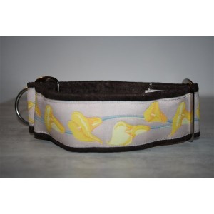 collier martingale 2