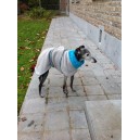 Sweater  en polaire