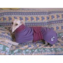 Manteau sweater en polaire pour galgo et greyhound