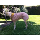 Manteau imperméable galgo greyhound d'été
