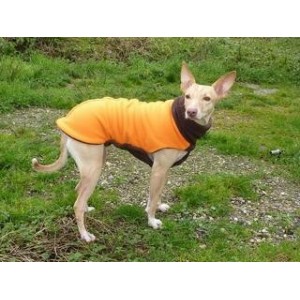 sweater polaire whippet