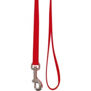 laisse nylon
