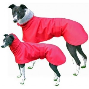 manteau impermeable lévrier