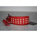 collier whippet
