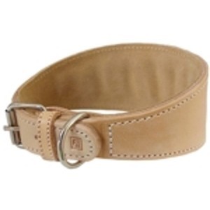 collier greyhound galgo lévrier cuir collier greyhound galgo lévrier cuir