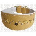 collier greyhound galgo lévrier