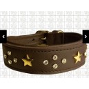 collier greyhound galgo lévrier