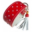 collier greyhound galgo lévrier