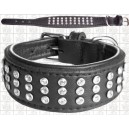 collier whippet