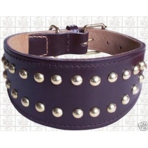 collier whippet collier whippet