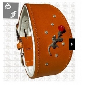 collier greyhound galgo levrier collier greyhound galgo levrier
