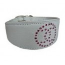 collier greyhound galgo levrier