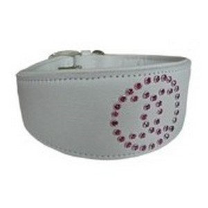 collier greyhound galgo levrier collier greyhound galgo levrier