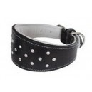 collier greyhound galgo levrier