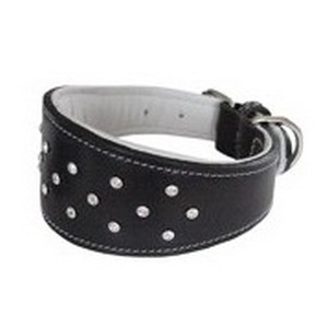 collier greyhound galgo levrier collier greyhound galgo levrier