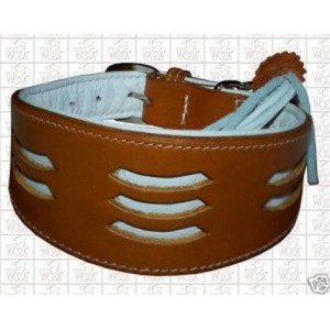 collier greyhound galgo levrier collier greyhound galgo levrier