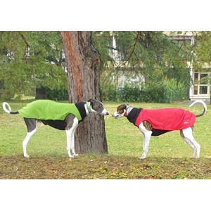 Manteau galgo 2025