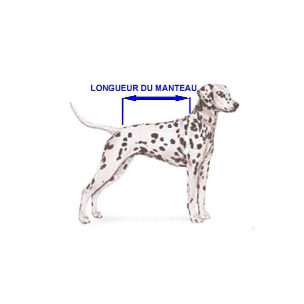 manteau dalmatien