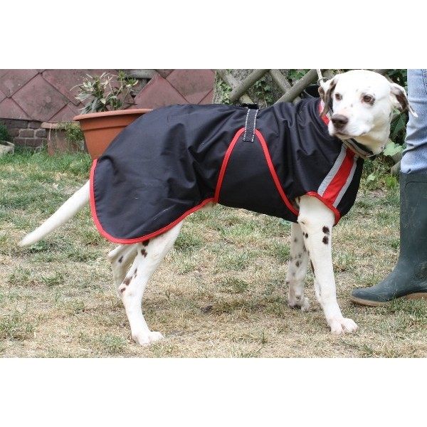 Manteau imperméable pour chien de taille moyenne, type dalmatien
