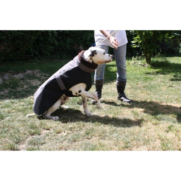 manteau dalmatien