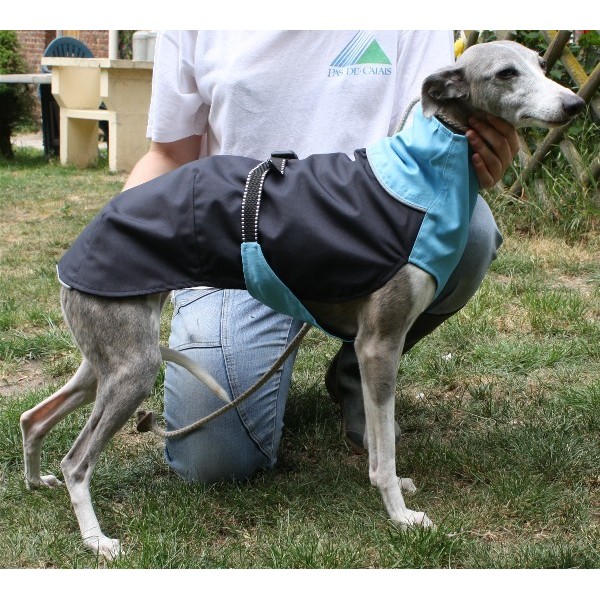 impermeable whippet