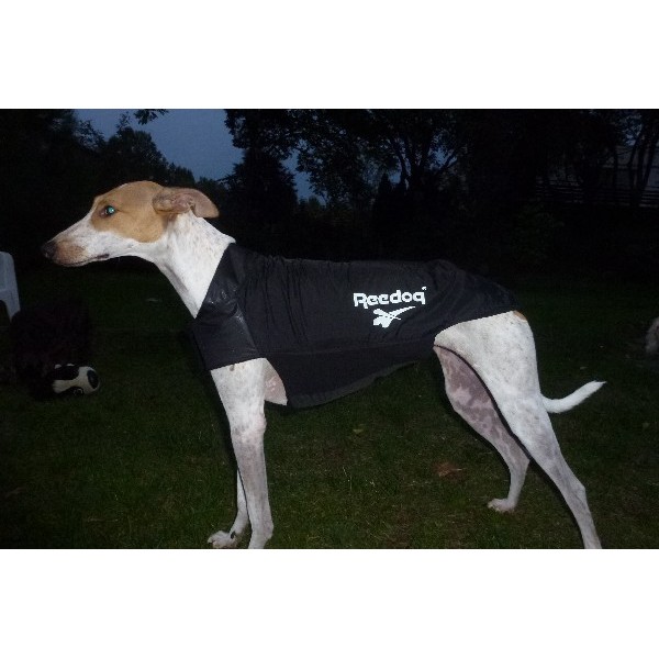 manteau impermable whippet demi saison
