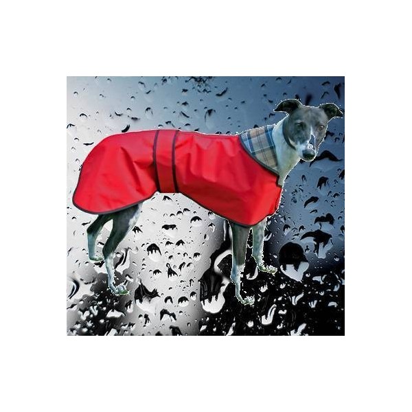 manteau imperméable levrier