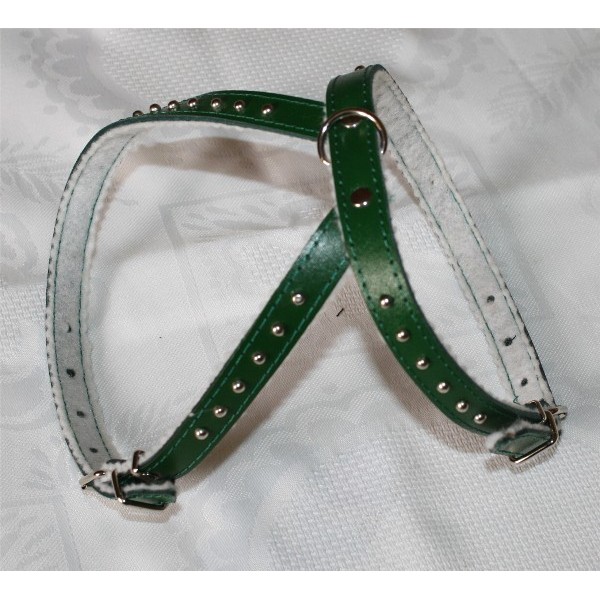 harnais pour chiens et chiots