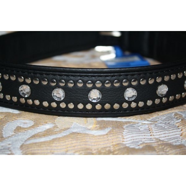 colliers dogue allemand