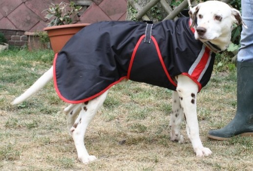 Manteau imperméable chien moyen