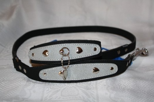 Combiné Collier Laisse pour Whippet