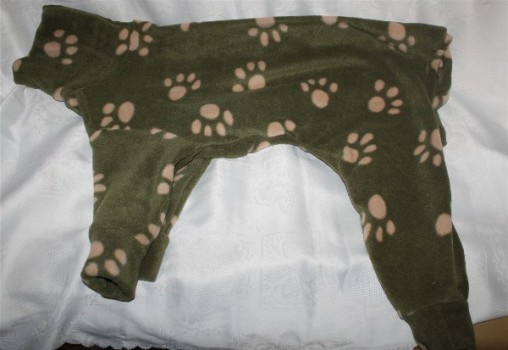 pyjama greyhound galgo